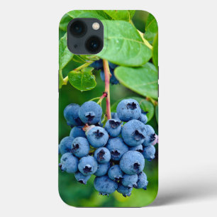 Blauwbessen op Struik Case-Mate iPhone Case