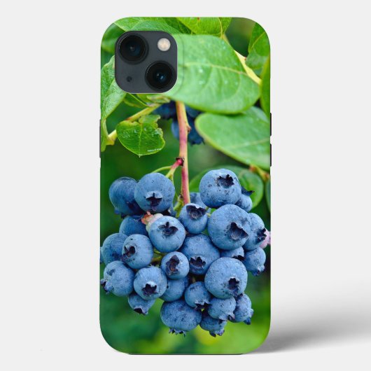 Blauwbessen op Struik Case-Mate iPhone Case (Achterkant)