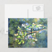 Blauwbessen, schilderij van romantische Waterverf Briefkaart (Voorkant / Achterkant)