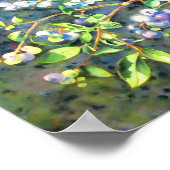 Blauwbessen, schilderij van romantische Waterverf Poster (Hoek)