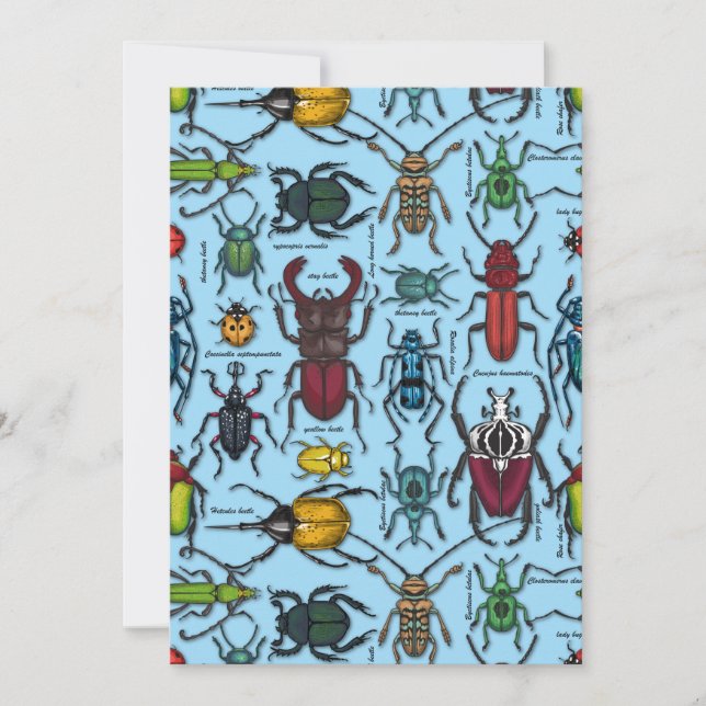 Blauwbijen (Voorkant)