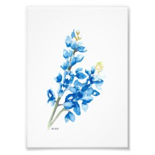 Blauwbijen 4 fotoafdrukken foto afdruk