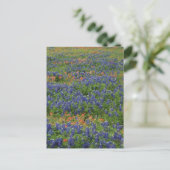 Blauwbijen Briefkaart (Staand voorkant)