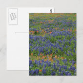 Blauwbijen Briefkaart (Voorkant / Achterkant)