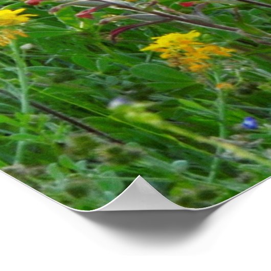 Blauwbijen en Indische penseel - Panaoramisch Poster (Hoek)