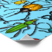 Blauwbijen Poster (Hoek)