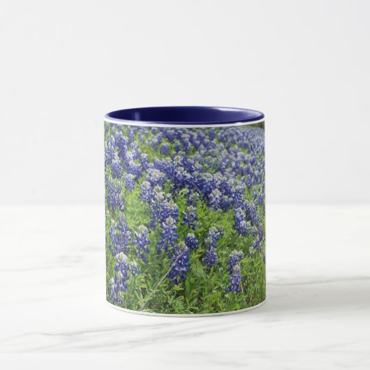 Blauwbijenkooi Mok (Midden)