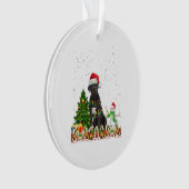 Blauwbijenkruid Corso Dog Santa Hat-kersthond Ornament (voorkant)