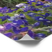 Blauwbijenkruid (Sunset Poster) Poster (Hoek)