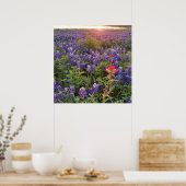 Blauwbijenkruid (Sunset Poster) Poster (Keuken)