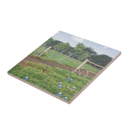 Blauwbijenveld Tegeltje (Zijkant)