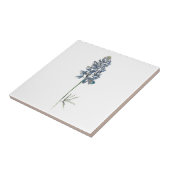 Blauwbijtkeramische Tegel Tegeltje (Zijkant)