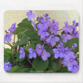 Blauwblauwe Violet Muismat (Voorkant)
