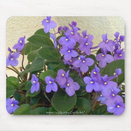 Blauwblauwe Violet Muismat (Voorkant)