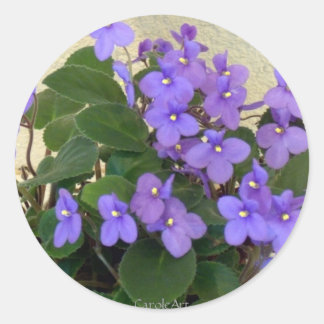 Blauwblauwe Violet Ronde Sticker