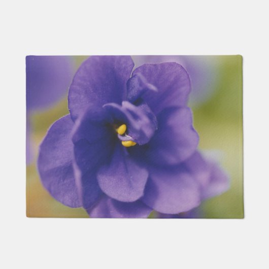 Blauwbloeiende bloem van Violet Saintpaulia Zoomed Deurmat (Voorkant)