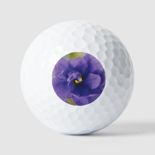 Blauwbloeiende bloem van Violet Saintpaulia Zoomed Golfballen (Voorkant)
