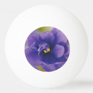 Blauwbloeiende bloem van Violet Saintpaulia Zoomed Pingpongbal