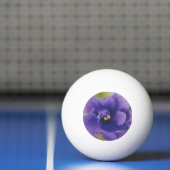Blauwbloeiende bloem van Violet Saintpaulia Zoomed Pingpongbal (Net)