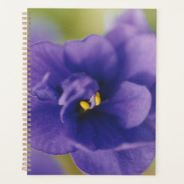 Blauwbloeiende bloem van Violet Saintpaulia Zoomed Planner