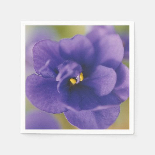 Blauwbloeiende bloem van Violet Saintpaulia Zoomed Servet (Voorkant)