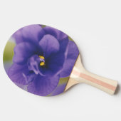 Blauwbloeiende bloem van Violet Saintpaulia Zoomed Tafeltennisbatje (Zijkant)