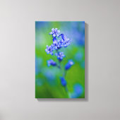 Blauwbloem Canvas druk (Voorkant)