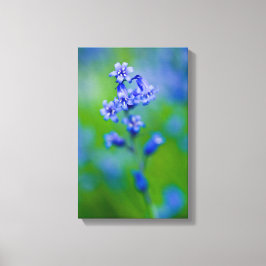 Blauwbloem Canvas druk