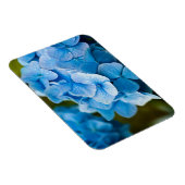 Blauwbloem Magnet Magneet (Rechterzijde)