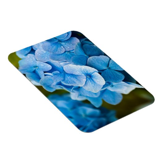 Blauwbloem Magnet Magneet (Rechterzijde)