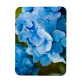 Blauwbloem Magnet Magneet (Verticaal)