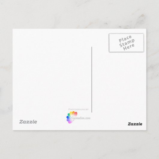 Blauwbloemen - Briefkaart (Achterkant)