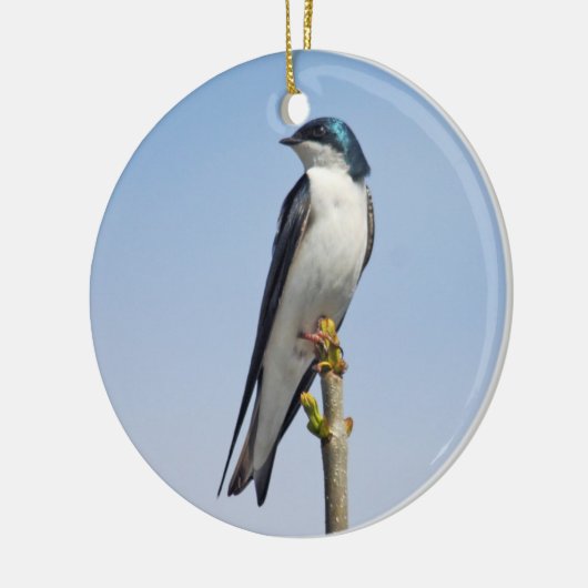 Blauwbloemnaam Keramisch Ornament (Links)