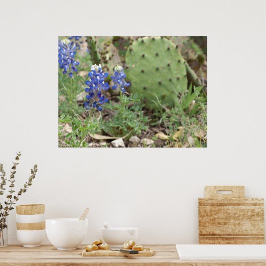 Blauwbonen en prickly Pear Poster (Keuken)
