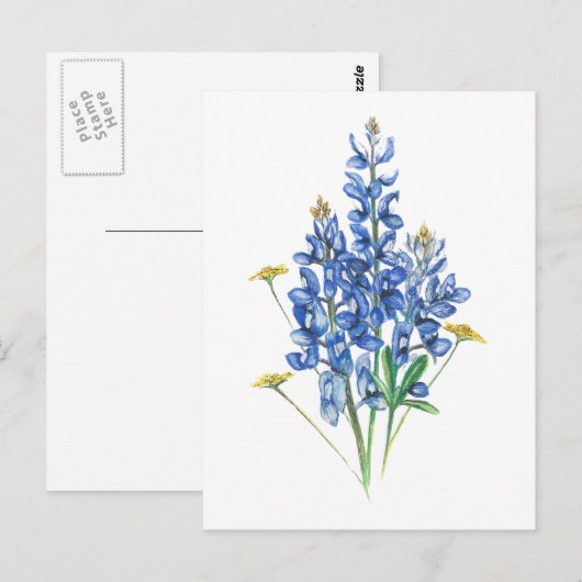 Blauwbonen en wilde bloemen briefkaart (Voorkant / Achterkant)