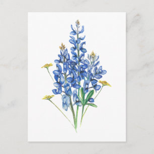 Blauwbonen en wilde bloemen briefkaart