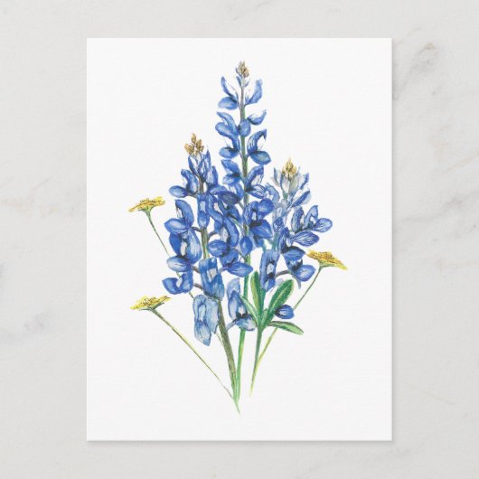 Blauwbonen en wilde bloemen briefkaart (Voorkant)
