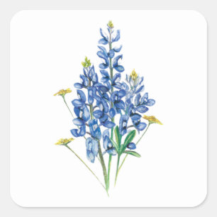 Blauwbonen en wilde bloemen vierkante sticker