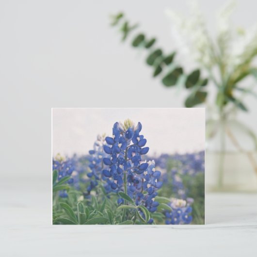 blauwbonet briefkaart (Staand voorkant)