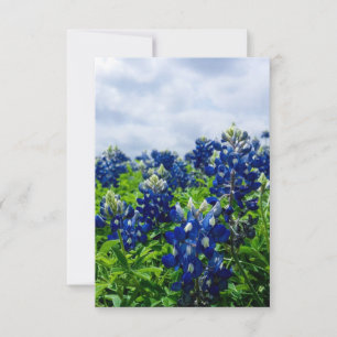 Blauwbonnaars Blauwe Bloemen Texas Texan Floral Bedankkaart