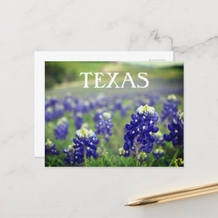 Blauwbonnaars Blauwe Bloemen Texas Texan Floral Briefkaart