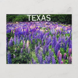 Blauwbonnaars Blauwe Bloemen Texas Texan Floral Briefkaart