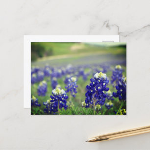 Blauwbonnaars Blauwe Bloemen Texas Texan Floral Briefkaart