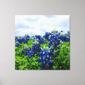 Blauwbonnaars Blauwe Bloemen Texas Texan Floral Canvas Afdruk (Voorkant)
