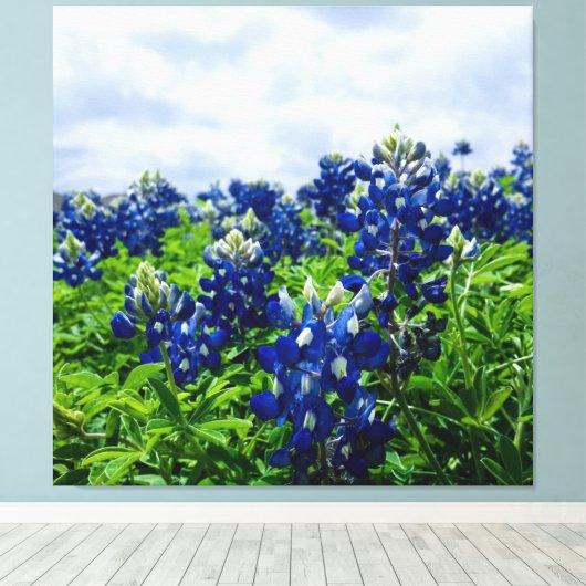 Blauwbonnaars Blauwe Bloemen Texas Texan Floral Canvas Afdruk (Insitu (Houten vloer))