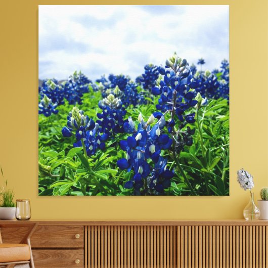 Blauwbonnaars Blauwe Bloemen Texas Texan Floral Canvas Afdruk (Insitu (Woonkamer))