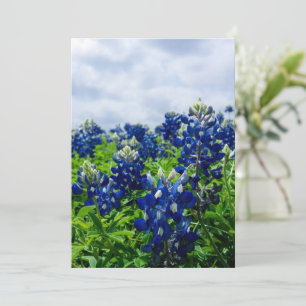 Blauwbonnaars Blauwe Bloemen Texas Texan Floral Feestdagenkaart