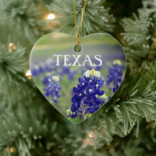 Blauwbonnaars Blauwe Bloemen Texas Texan Floral Keramisch Ornament (Boom)