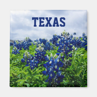 Blauwbonnaars Blauwe Bloemen Texas Texan Floral Magneet