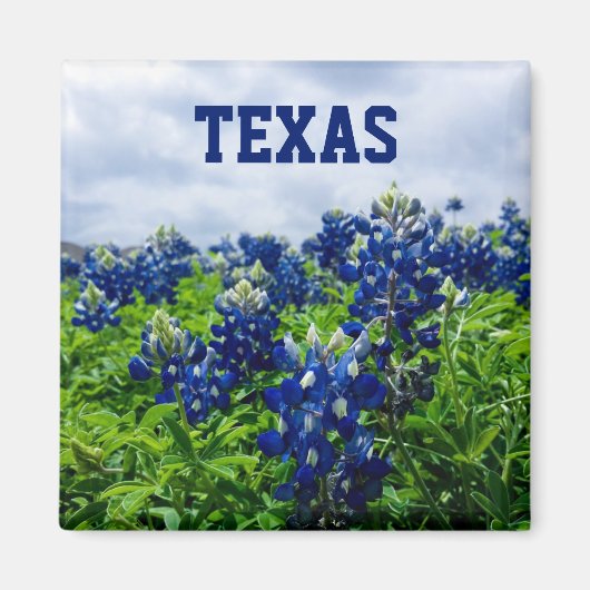Blauwbonnaars Blauwe Bloemen Texas Texan Floral Magneet (Voorkant)